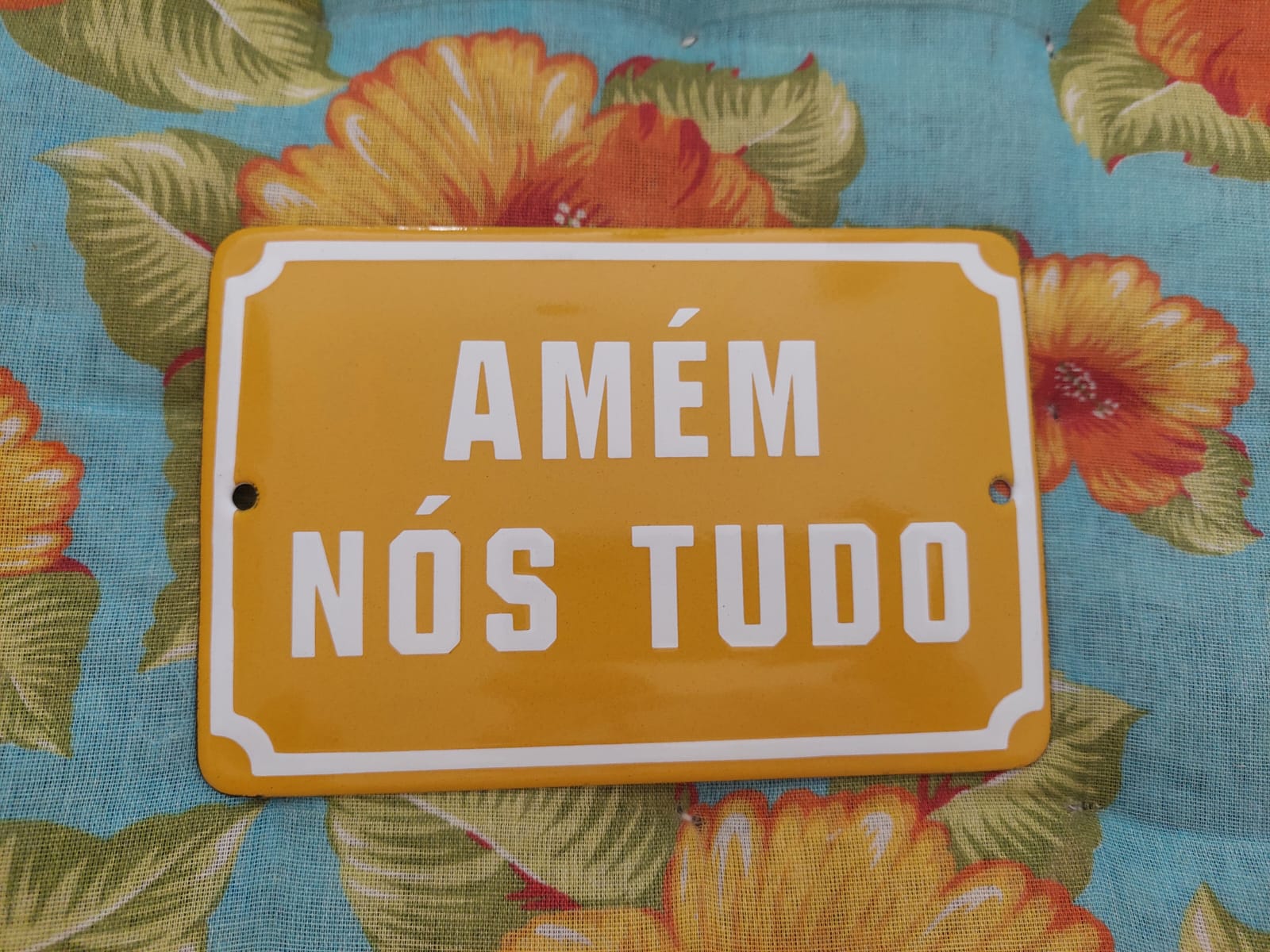 Placa Decorativa - Amém nós Tudo